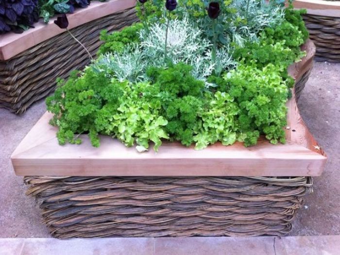 Archisio - Carlo Maria Maggia - Progetto Giardini