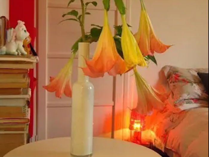 Archisio - Daniela Ogis - Progetto Piccola casa romana