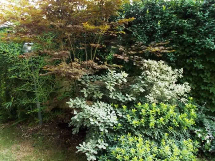 Archisio - Delisabatini Architetti fdeli E Fsabatini Arch Ass - Progetto Giardino severi