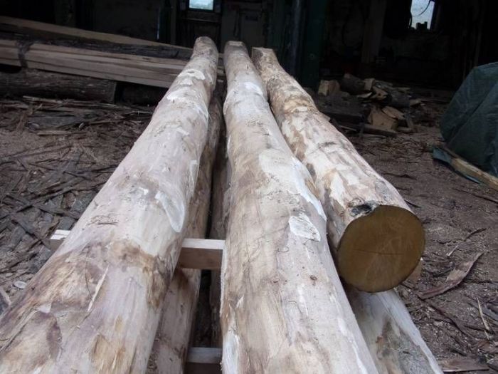 Archisio - Falegnameria Ferruzzi - Progetto Segheria