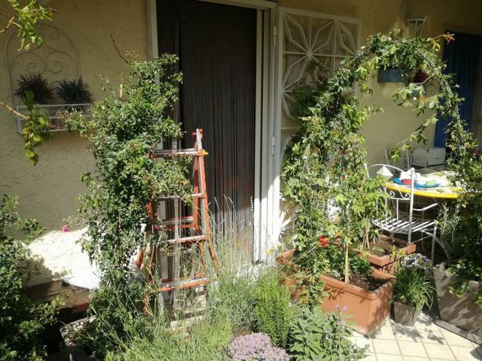 Archisio - Anna Claudia Bufo - Progetto Work in progress