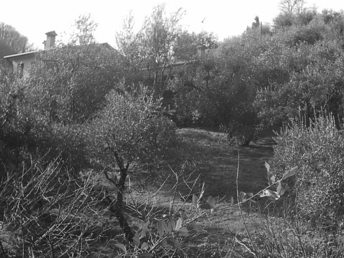 Archisio - Davide Stona - Progetto Sistemazione fondo agricolo