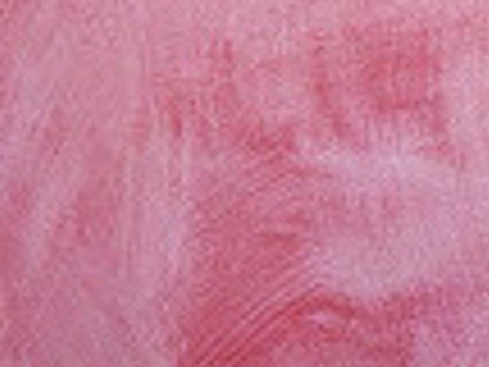 Archisio - Impresa Edile Bertucci - Progetto Ristrutturazioni manutenzione stesura intonaci e decorazioni