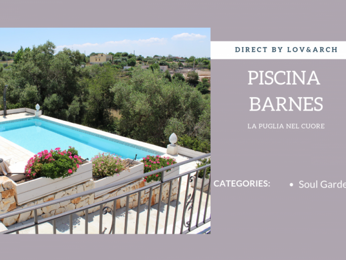 Archisio - Lovecchio Giuseppe - Progetto Piscina barnes