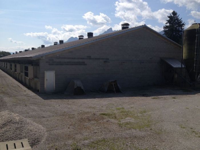 Archisio - Edilcasa Snc - Progetto Complesso agricolo la pellegrina gruppo veronesi bes belluno