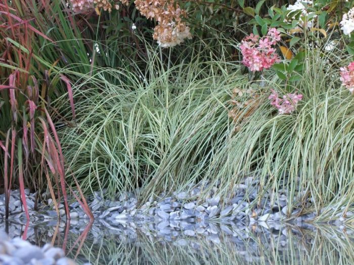 Archisio - Areaverde Consulting - Progetto Ambientazione