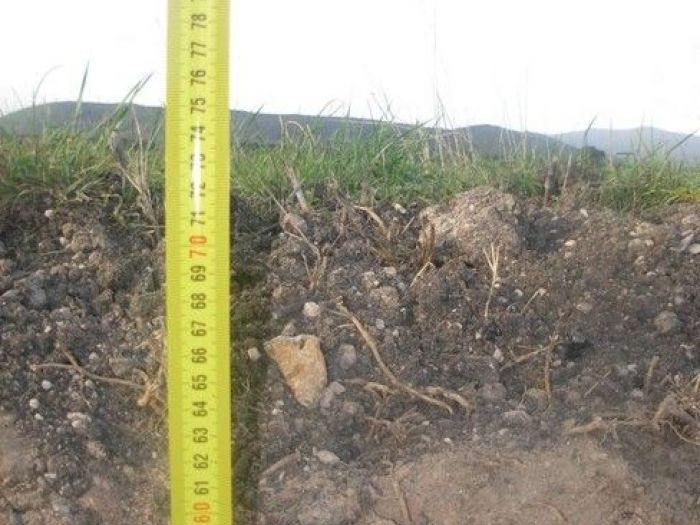 Archisio - Fgs Project Stp Sas - Progetto Strada il terzo