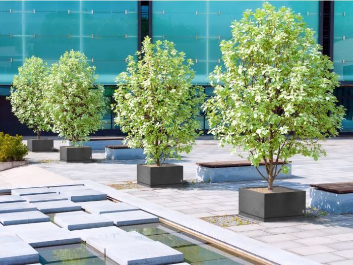 Archisio - D Materials - Progetto Regular planter with saucer