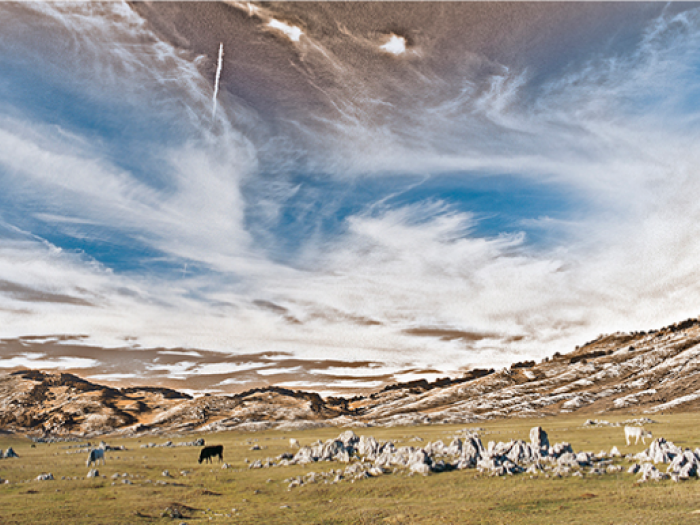 Archisio - Patrizia Savarese - Progetto Fotografia