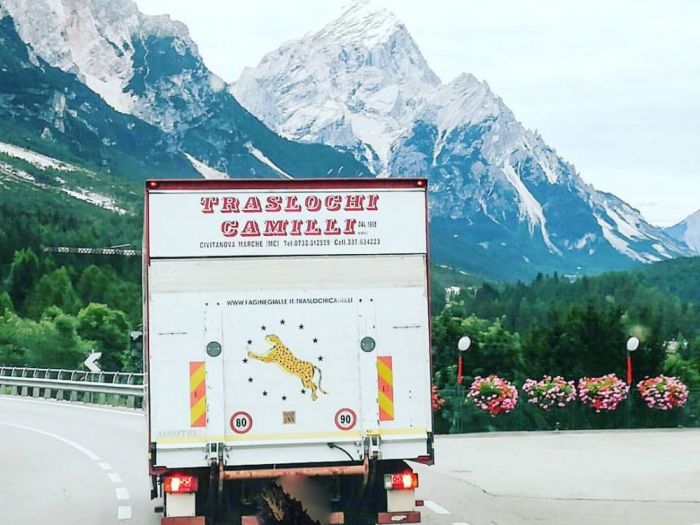 Archisio - Traslochi Camilli - Progetto Traslochi