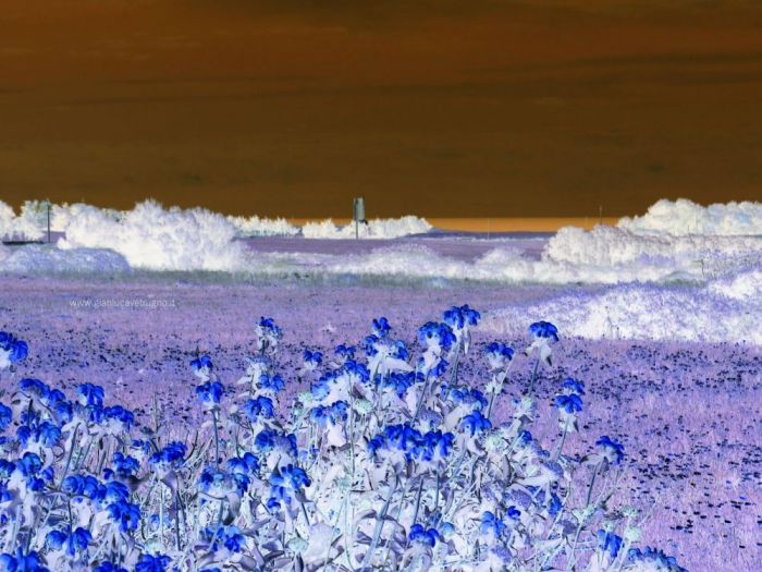 Archisio - Gianluca Vetrugno Meltem Kosan the Art Of The Negative - Artisti - Progetto Galleria 2 paesaggi