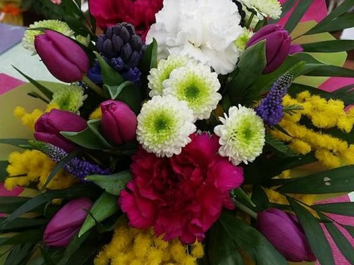 Archisio - Massarroni - Vivai Piante - Garden - Progetto Vivai e piante