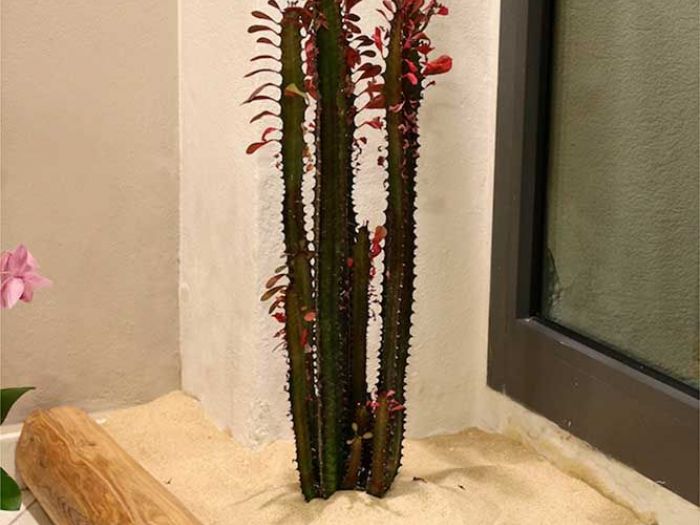 Archisio - Studio Ferretti - Progetto Progetto di ristrutturazione negozio per allestimento di agenzia viaggi