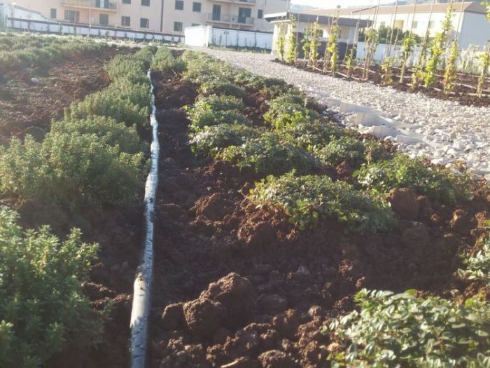 Archisio - Maria Giammarresi - Progetto Giardino pensile - arriva con la legge di bilancio 2018 il bonus verde per giardini terrazzi balconi giardini pensili e coperture anche condominiali - il nostro studio fornisce la consulenza necessaria ai fini dellottenimento del bonus