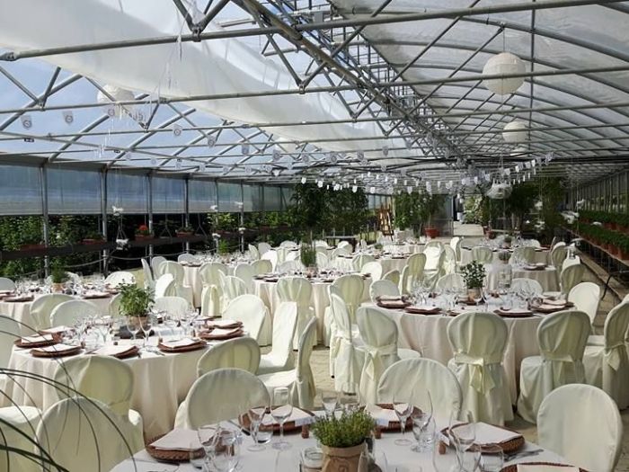 Archisio - Spazio Verde - Progetto Allestimento per matrimonio