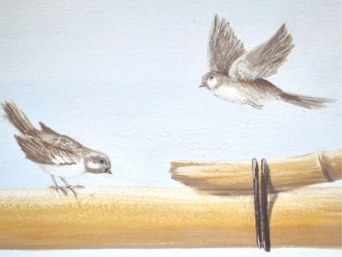 Archisio - Elisabetta Maestripieri - Progetto Stanza a trompe loeil