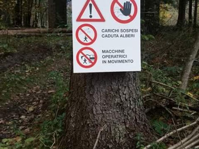 Archisio - Il Dottore Del Verde Di Bruno Barnaba - Progetto Utilizzazioni boschive