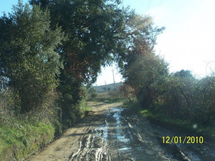 Archisio - Fgs Project Stp Sas - Progetto Strada delle camporre