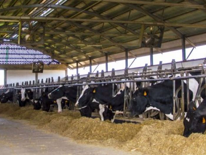 Archisio - Canavesio Bruno - Progetto Cascina rondellino