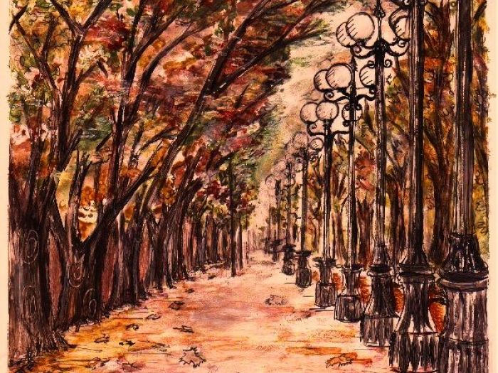 Archisio - Illustratrice - Progetto Parque forestal