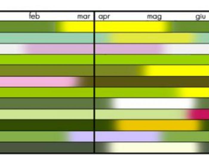 Archisio - Studio Ferretti - Progetto Ufficio postale tergu