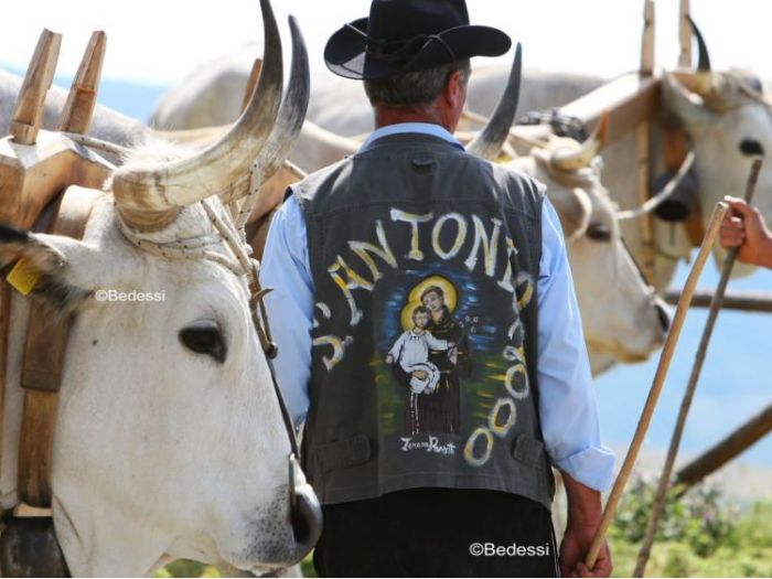 Archisio - Puntofoto Multimedia - Progetto Servizi fotografici