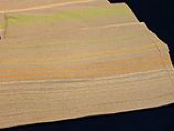 Archisio - Langolino Laboratorio Tessile - Progetto Tovagliato