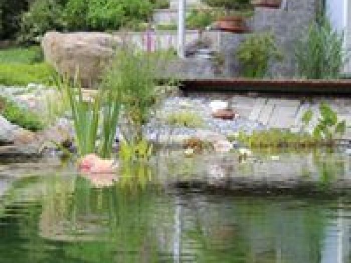 Archisio - Arqtropa Studio - Progetto Piscine naturali e vegetazione acquatica