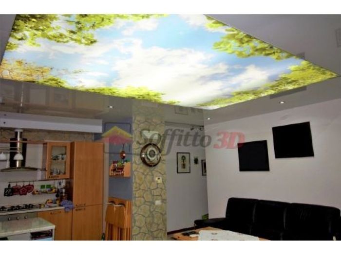 Archisio - Soffitto 3d - Progetto Telo lucido
