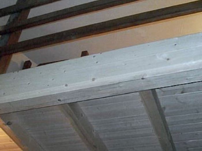 Archisio - Impresa Edile Bertucci - Progetto Carpenteria lignea e ingegneria naturalistica