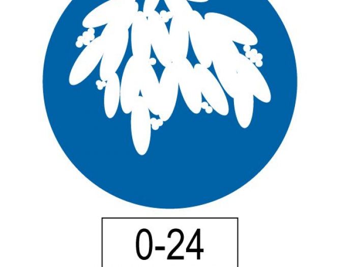 Archisio - Cfcstudio Marco Ragonese - Progetto Vischio permanente