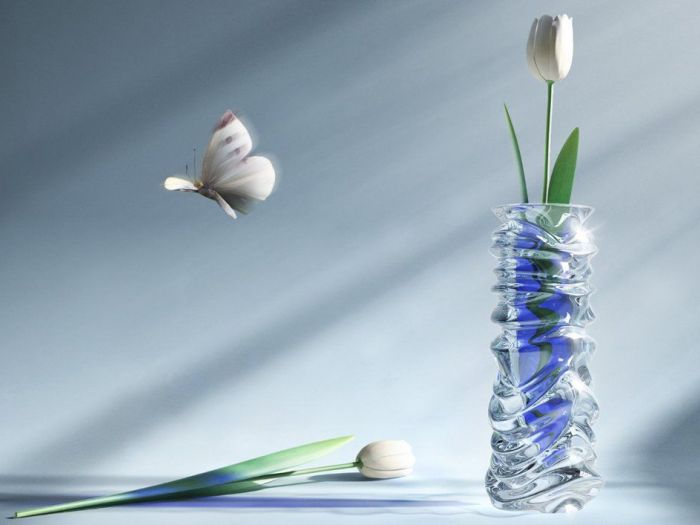 Archisio - Hd4design - Progetto Modellazione 3d - rendering