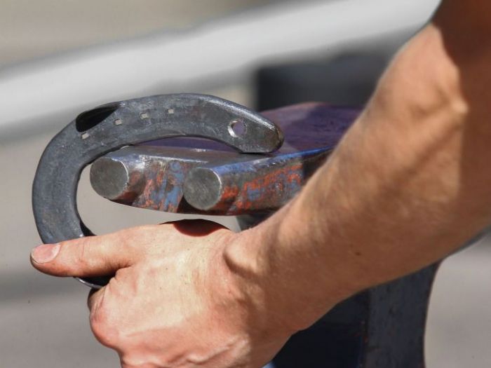 Archisio - Alessandro Petruzzi - Progetto Piegatura