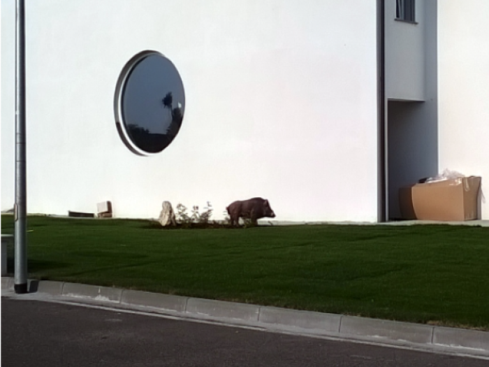 Archisio - Euro Gm Costruzioni srl - Progetto Rifacimento facciatebalconi ed intonaci