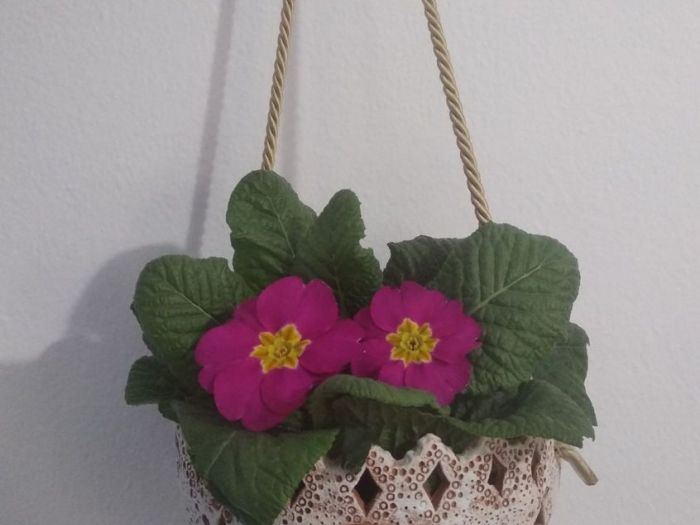 Archisio - Frisart - Progetto Vasi orchidee