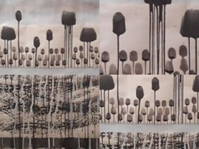 Archisio - Giovanna Somai - Progetto Nero dripping