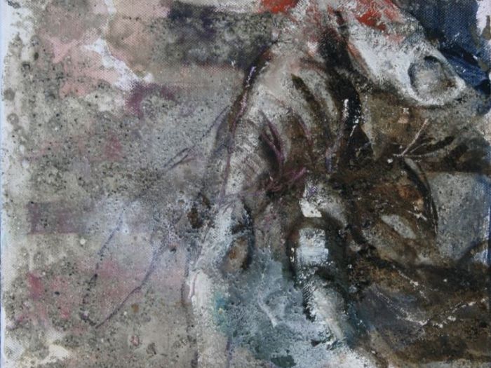 Archisio - Ester Maria Negretti - Progetto ESTER MARIA NEGRETTI