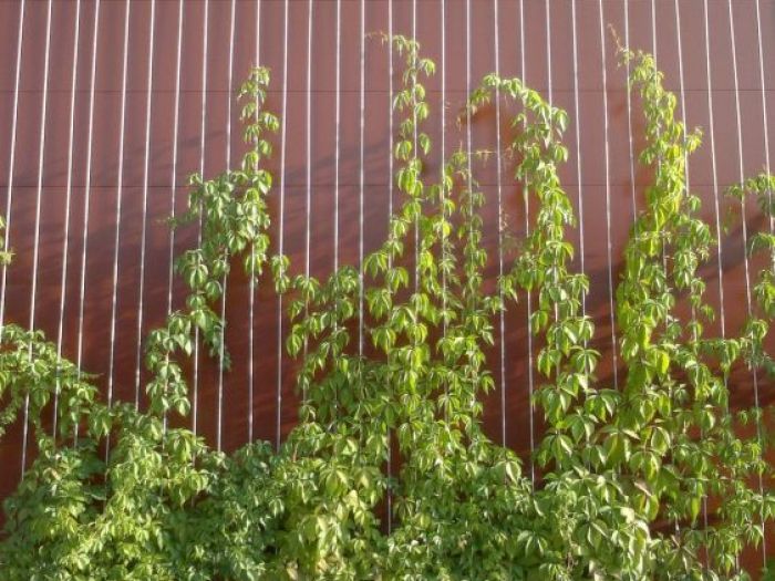 Archisio - Silvia Nanni - Progetto Ristrutturazione e ampliamento di edificio produttivo