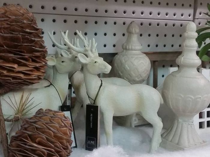 Archisio - Massarroni - Vivai Piante - Garden - Progetto Vivai e piante