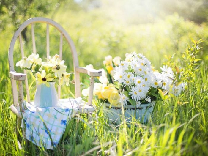 Archisio - Studio Lipari 6 - Progetto Galleria