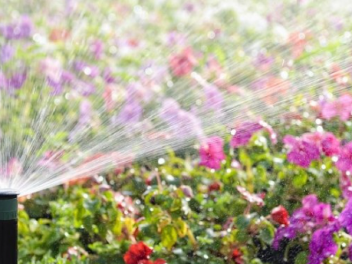 Archisio - Ripart Di Massimo Alberici - Progetto Idraulica