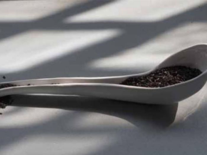 Archisio - Davide Bianchi - Progetto La bruna