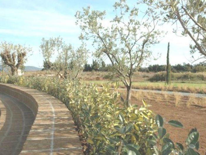 Archisio - Open Space Projects - Progetto Parco casale spagnolo orbetello