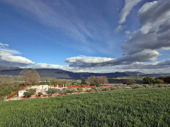 Archisio - Ballettisabbatini Architetti - Progetto Casaleak