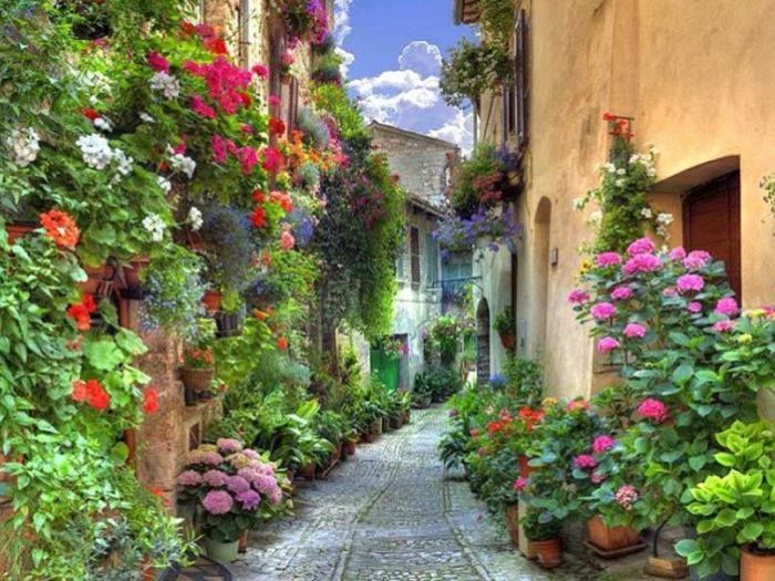 Archisio - Vivai Cantatore - Progetto Piante