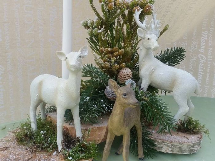 Archisio - Massarroni - Vivai Piante - Garden - Progetto Vivai e piante