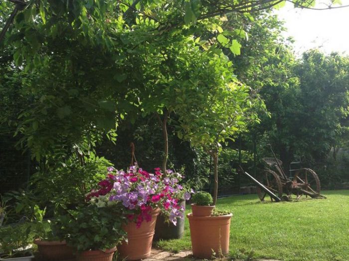 Archisio - Dario Castellino - Progetto Spazi esterni