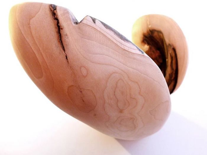 Archisio - Studio Lar - Progetto Rorec