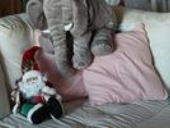 Archisio - Francesca Ianni - Progetto Interior design e outdoor