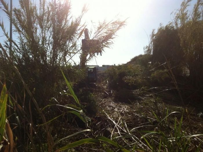 Archisio - Service Garden - Progetto Manutenzione verde